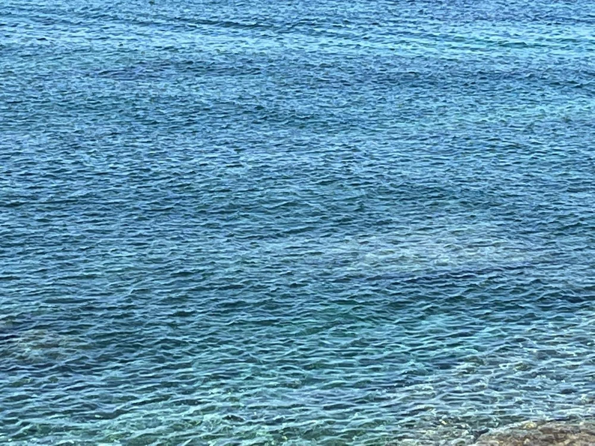אלגהרו Casa Mare Incantevole מראה חיצוני תמונה
